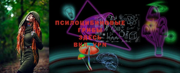 прущие крисы Арсеньев