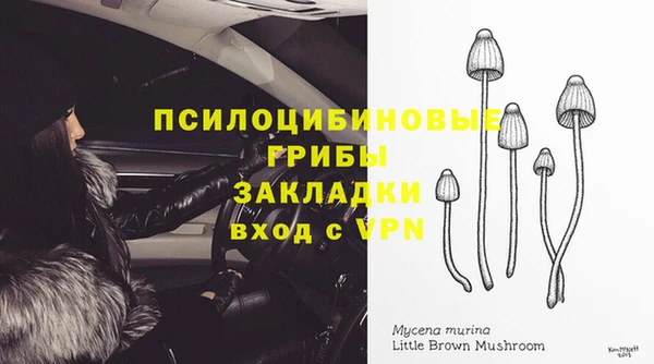 прущие крисы Арсеньев