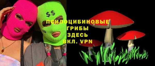 apvp Армянск