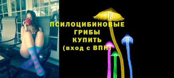 прущие крисы Арсеньев