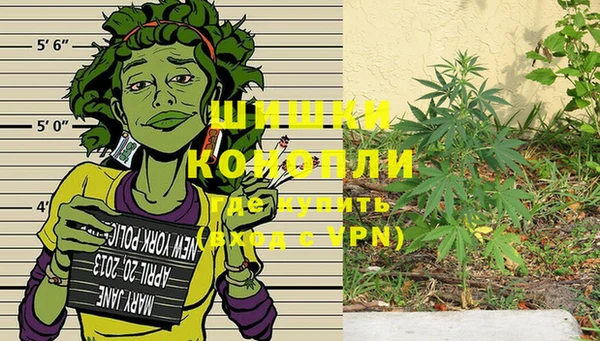 прущие крисы Арсеньев