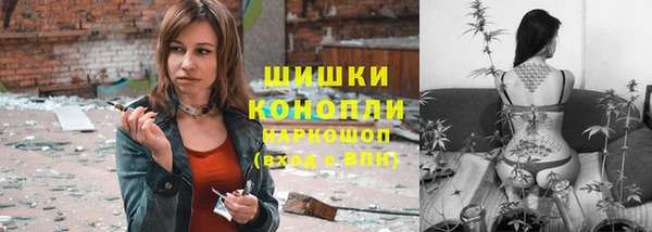 MESCALINE Аркадак