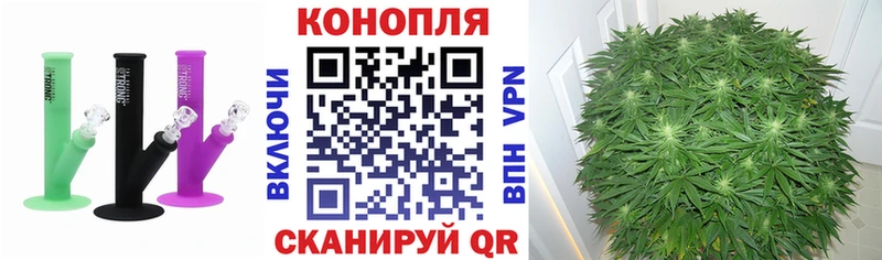 Конопля THC 21%  Макарьев 